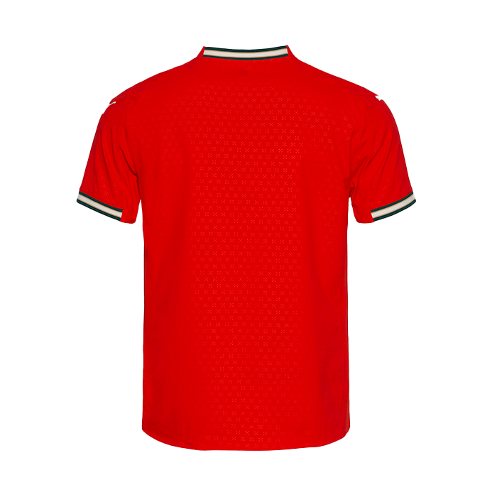 Camisola Seleção JOGADOR Portugal 2025/2026 PUMA